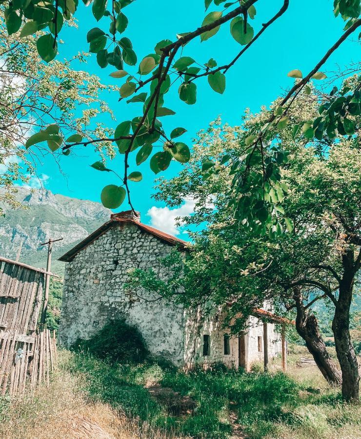 Apartament Te Baca Qerim Lekbibaj Zewnętrze zdjęcie