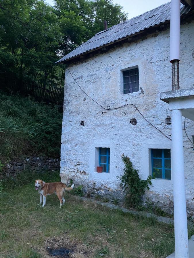 Apartament Te Baca Qerim Lekbibaj Zewnętrze zdjęcie